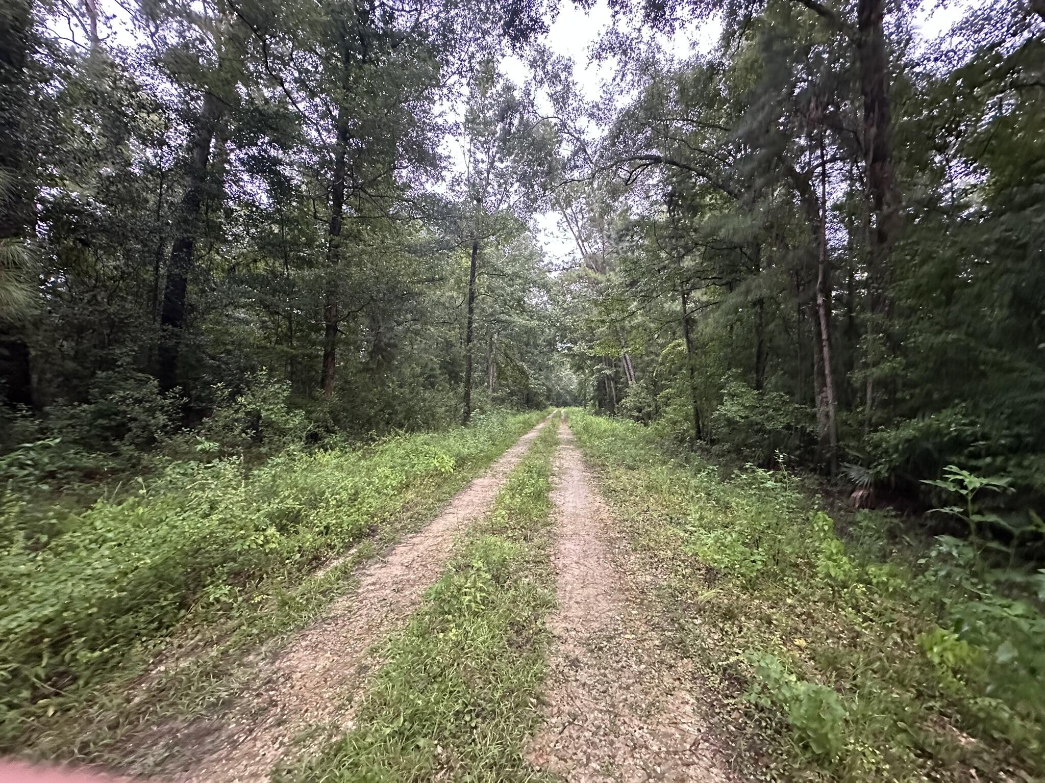 Located in a platted residential subdivision in Wewahitchka, this wooded vacant lot offers an opportunity to own property in Gulf County. Similar in size to nearby parcels, the lot retains its natural tree coverage and character, providing a setting for future residential plans subject to local requirements. The surrounding area reflects the quiet, rural nature of this part of North Florida.