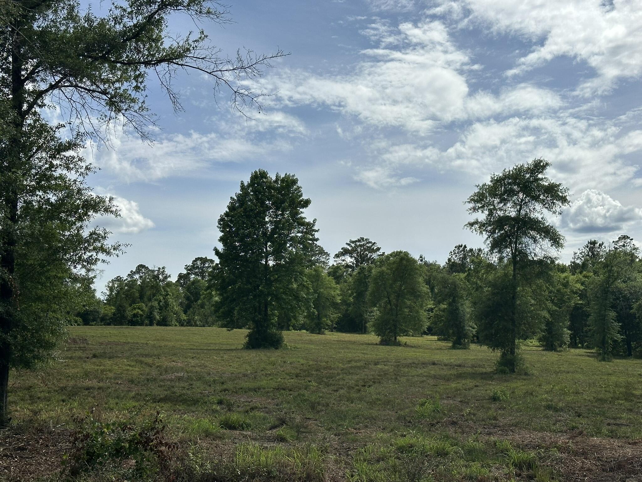 NO RECORDED SUBDIVISION - Land
