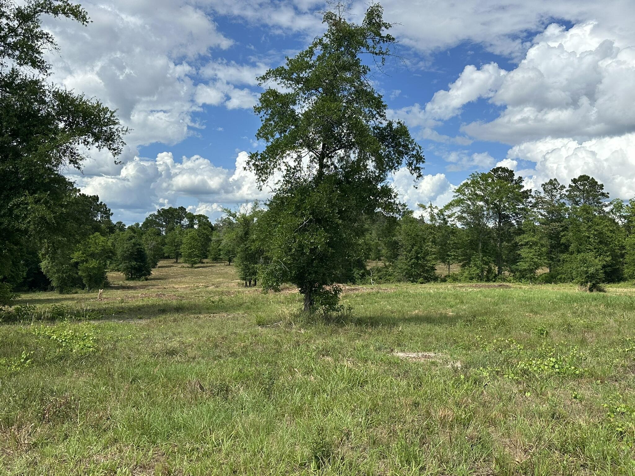 NO RECORDED SUBDIVISION - Land