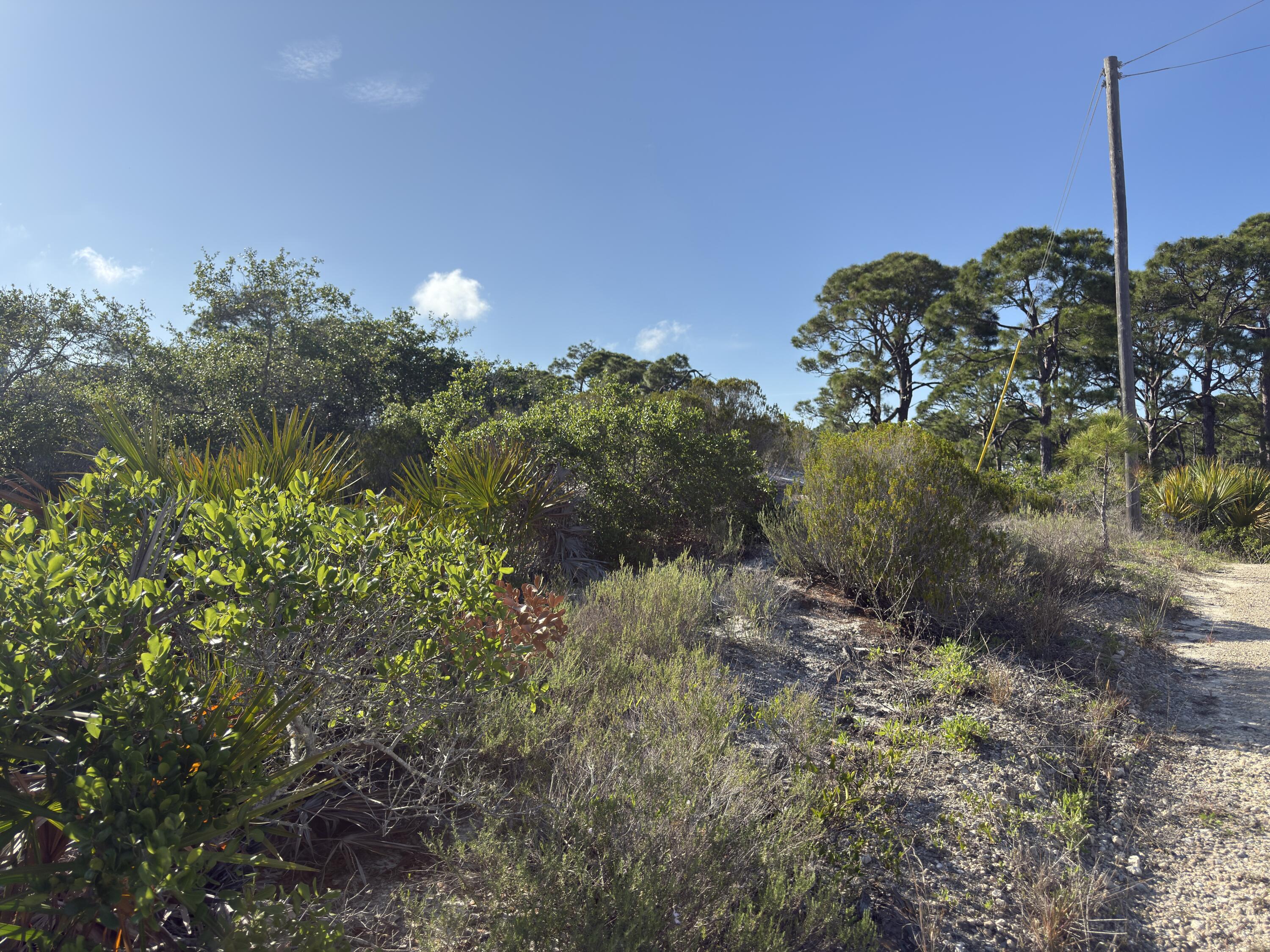 Rare X FLOOD ZONE LOT with high elevation on the south end of Cape San Blas. This .34 acre lot has dedicated beach access, reasonable restrictions, and NO HOA!! The X flood zone will offer potential options for ground floor construction, without pilings or stairs. Located about a mile west of the user friendly Salinas park where one can enjoy pickleball, dedicated driving access point, as well as gulf and bay access. 10 minutes to Port St Joe and only 20 minutes to historic Apalachicola. Priced to sell!! Survey, restrictions, road access agreement all on file. Some dimensions were obtained from the gulf County Property Appraisers office, please verify if important.