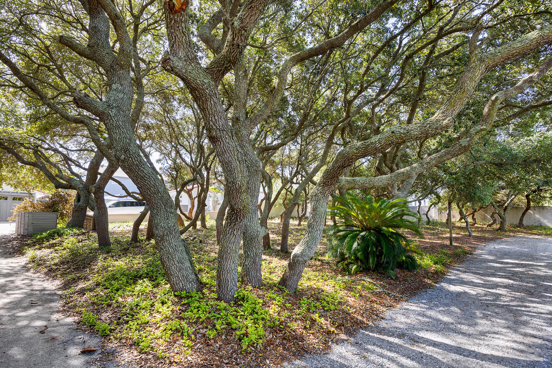 GULFVIEW HEIGHTS 1ST ADDN - Land