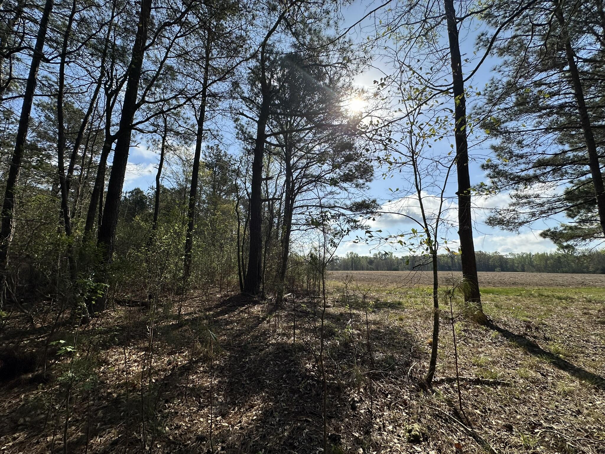 No Named Subdivision - Land