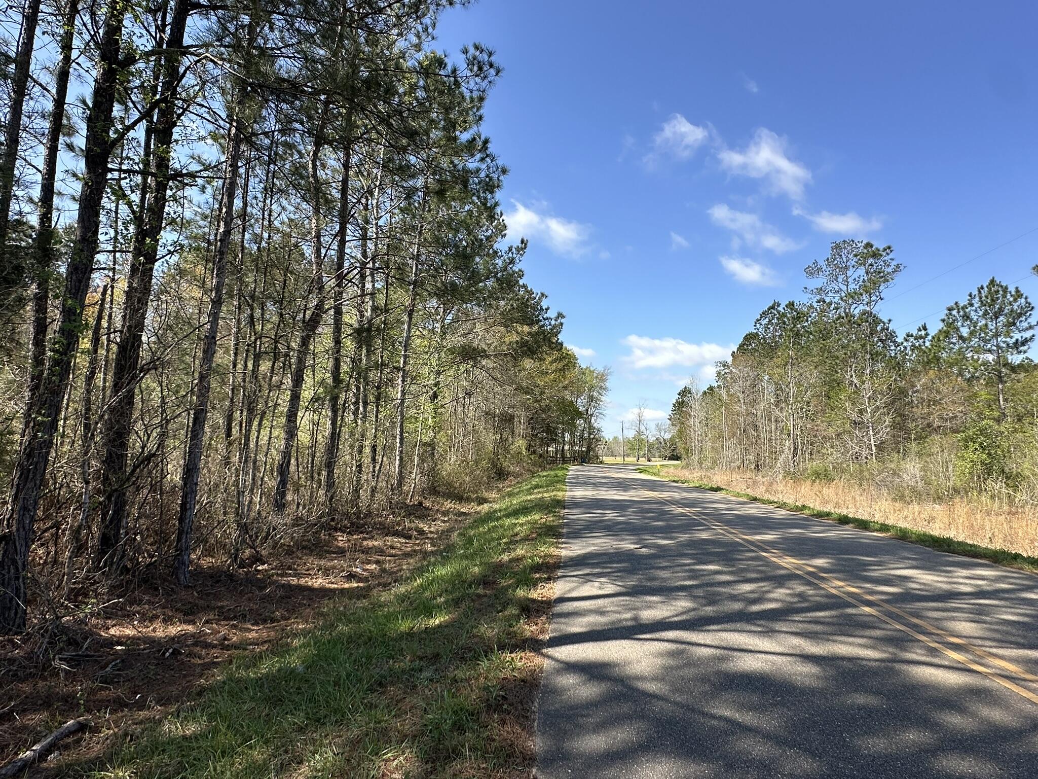 10+/- acres off Snider Avenue near Frisco City, Alabama offering a blend of open ground and natural surroundings. This parcel provides space for recreational use, agricultural activities, or future plans with flexibility to suit a variety of needs. Frisco City is known for its small-town setting, local history, and connection to Monroe County's timber and farming roots. The area continues to draw attention for its wide-open landscapes and steady interest in land ownership. This property has already generated strong interest and presents an opportunity to secure a tract in a consistently active market. Buyer and buyer's agent to verify all important information.