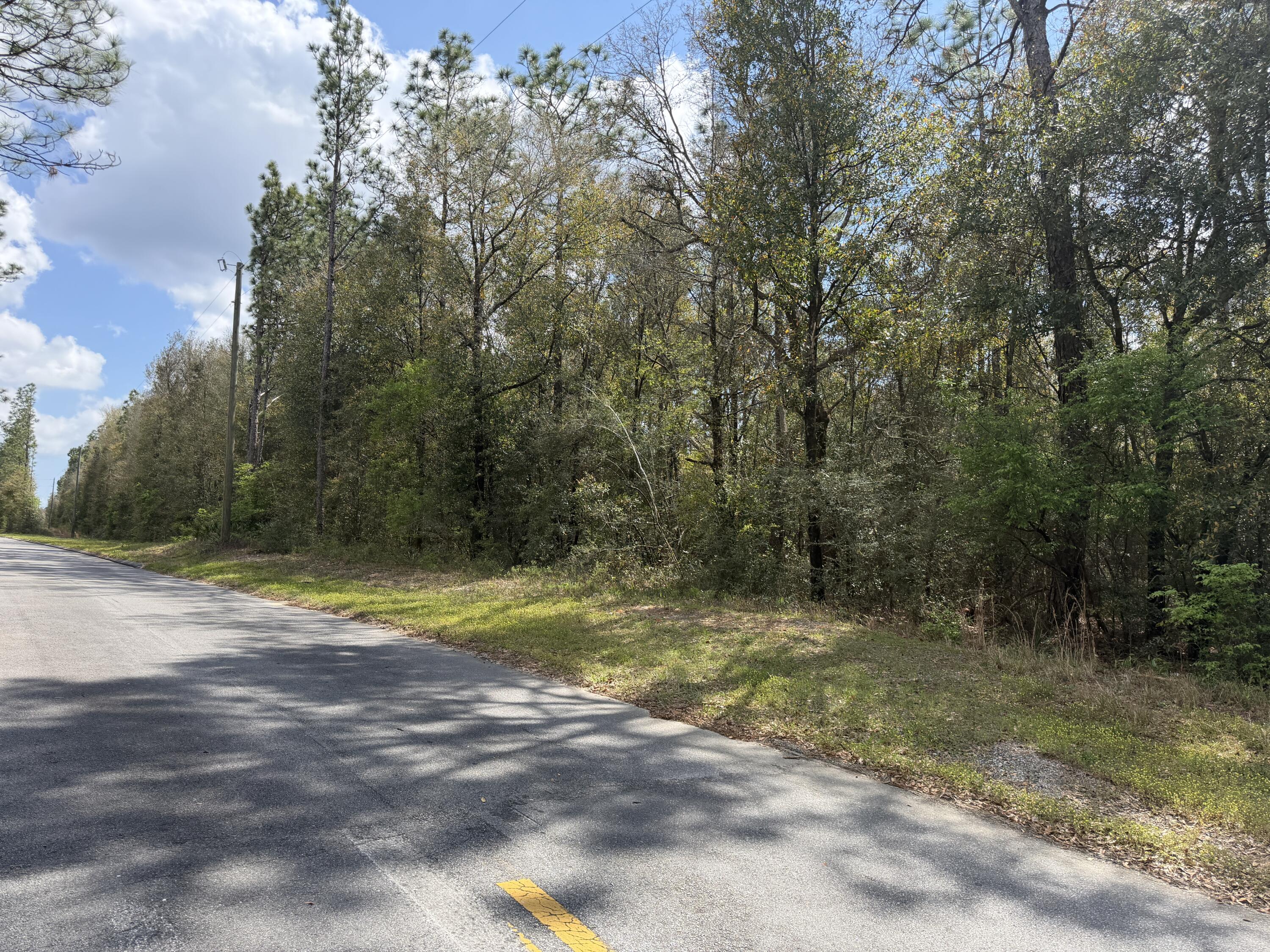 Discover the perfect place to put down roots on this spacious, dry homesite surrounded by that natural country setting. With mature trees offering shade and privacy, this land provides a peaceful backdrop for a custom-built home, porch sunsets, and wide-open space to enjoy the outdoors. Located on a paved road with 1200 feet of road frontage and utilities nearby, the property is easy to build on while still delivering the privacy and freedom country living is known for.  Enjoy the best of both worlds with quick access to the interstate while coming home to peace, quiet, and room to breathe. Many uses for the property, bring your horses/livestock, mobile home or start a farm or campsite!