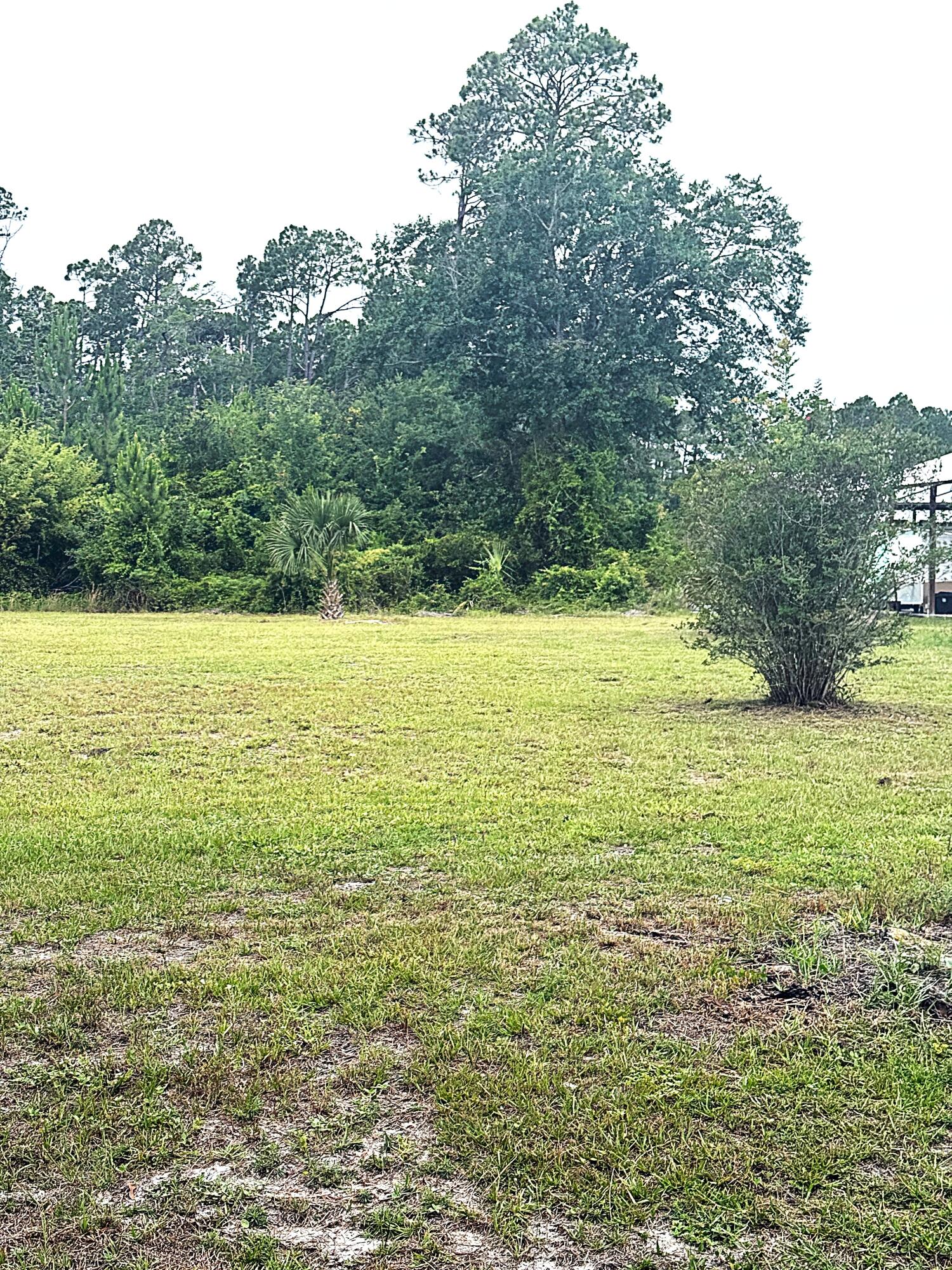 Site ready oversized 1/2 acre plus lots that are golf cart accessible to town, only an easy 3000' distance from St Joseph Bay. NO HOA, X Flood Zone on a major portion of the lot, high and dry with established grass, paved dead end street with no through traffic, water, sewer, electric, propane available and RV compliant. Lot is 3 to 5 times the size of comparable area lots and are priced below market. Lot is a portion of parcel ID # 06223-000R subject to division per the attached rendering. Some information was obtained via the Gulf County Property Appraisers Office, please verify if important.