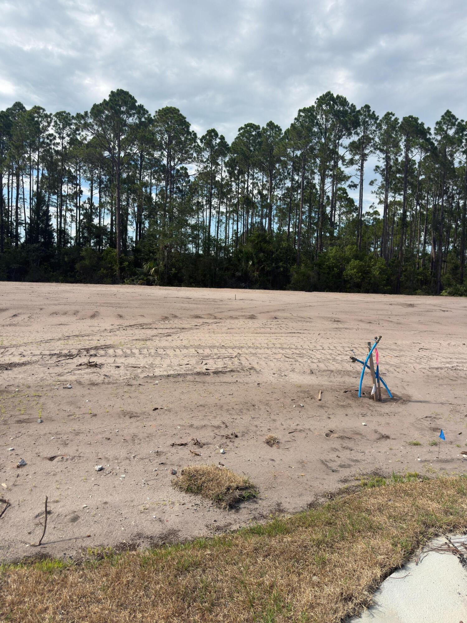 Port St Joe's newest gated and landscaped community with all the possibilities one could ask for. These lots are all X FLOOD ZONE and are eligible for SHORT TERM (DAY, WEEK, OR MONTHLY) or LONG TERM RENTALS. One can legally GOLF CART to Downtown or have easy access to St Joseph Bay. All lots are cleared and ready to build on with no timeframe to for building. Amenities already in place area; Paved street with ribbon curbing, entrance with signage and landscaping, sodded entry on Garrison Ave, water, sewer, under ground electric, elegant street lights for security. Amenities to be installed by the developer are privacy fencing, gated entry and bamboo accents for a border. Subdivision is under the County building and zoning regulations, not The City of Port St Joe.