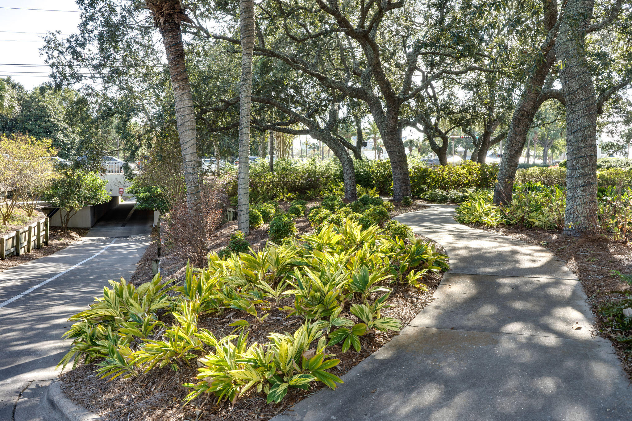 BEACHWALK VILLAS - Residential
