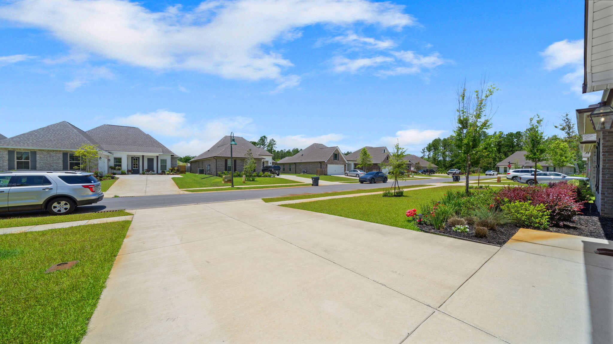 HAMMOCK BAY - STARBURST - Residential