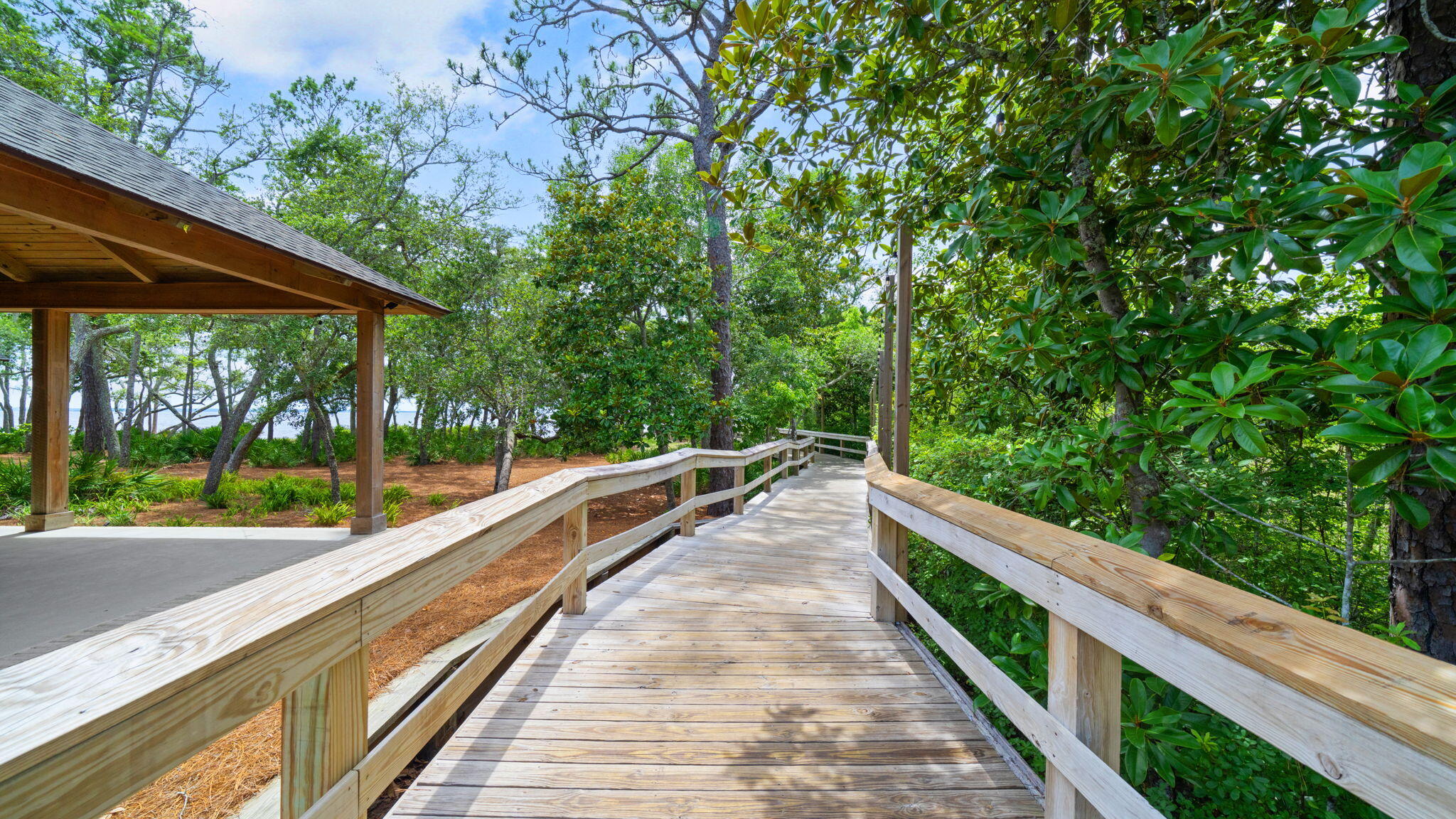 HAMMOCK BAY - STARBURST - Residential