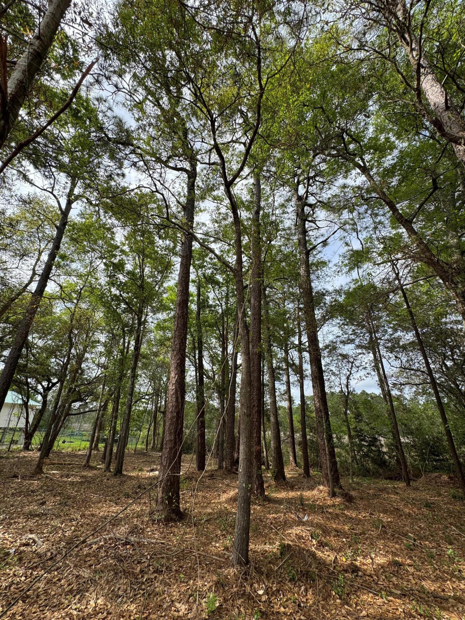 AVALON PARK - Land