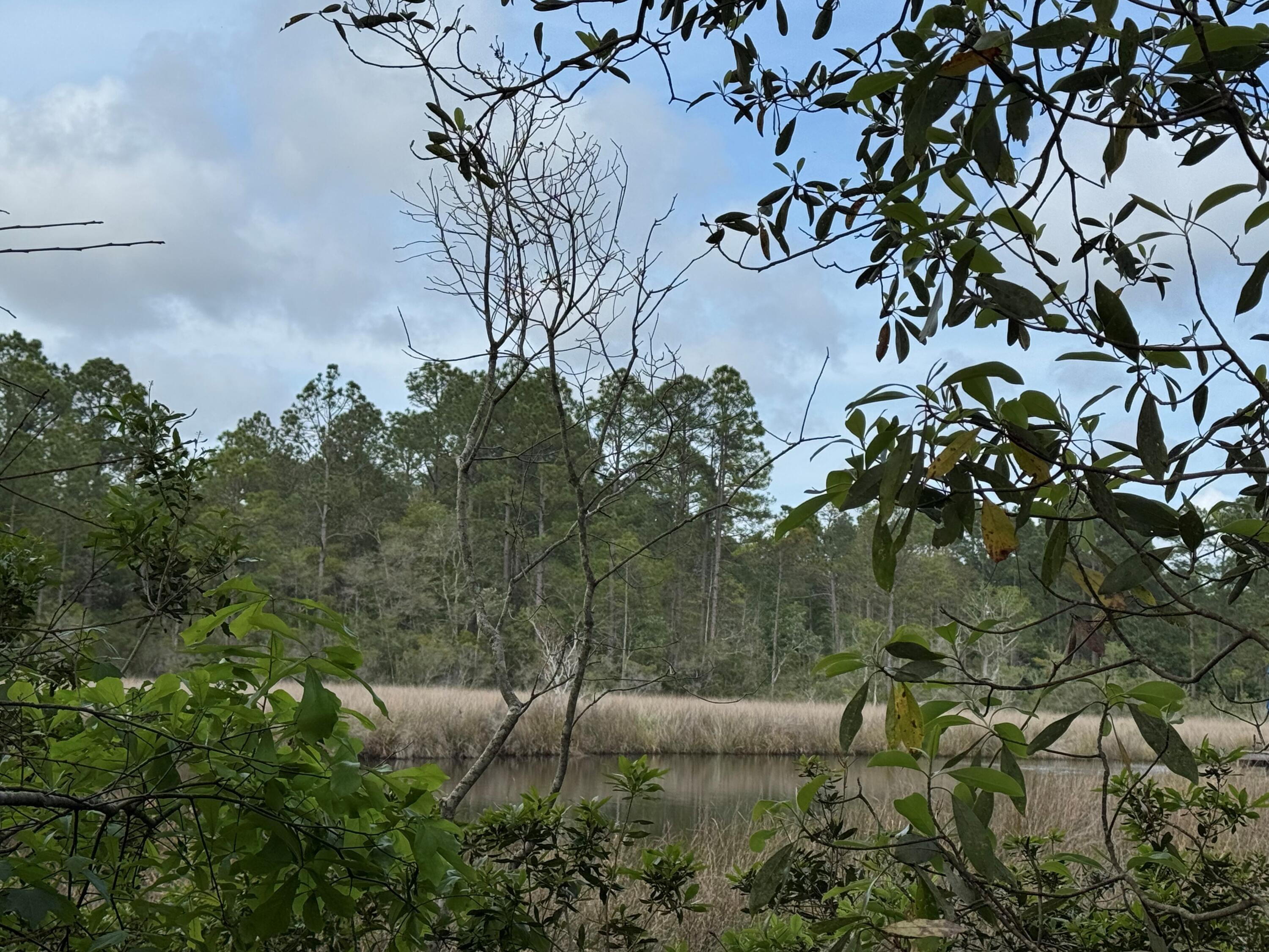 AVALON PARK - Land
