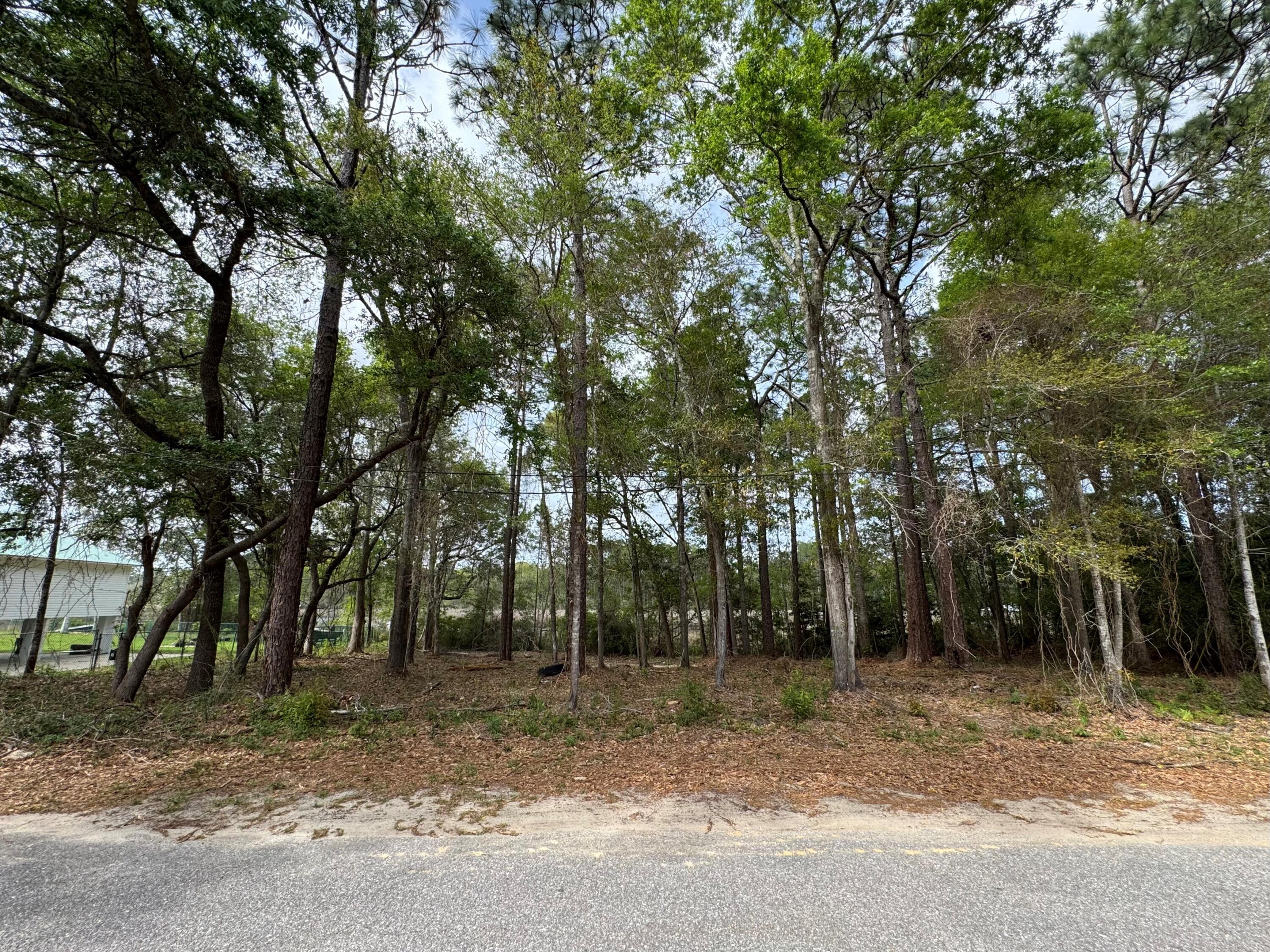 AVALON PARK - Land