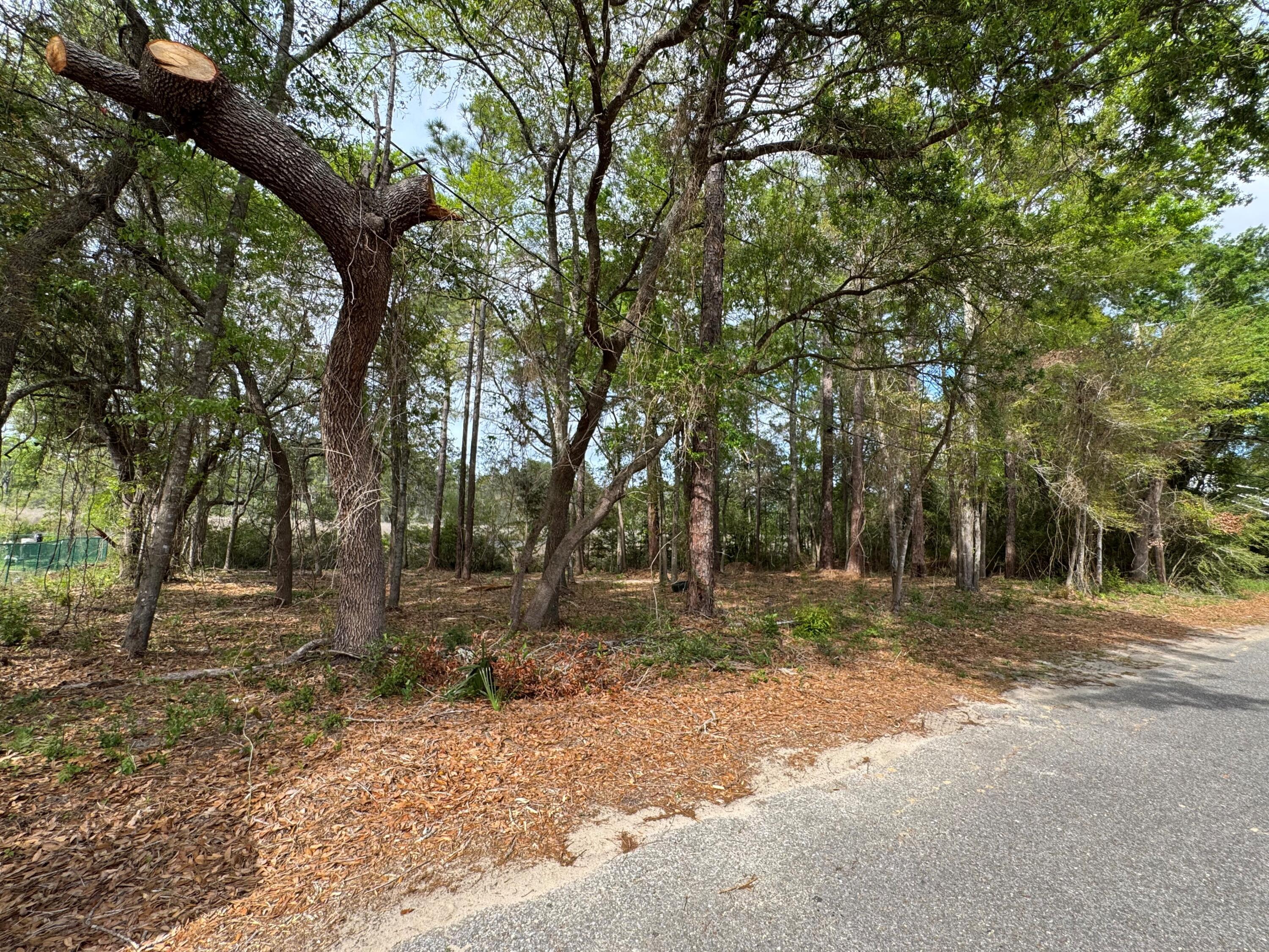 AVALON PARK - Land