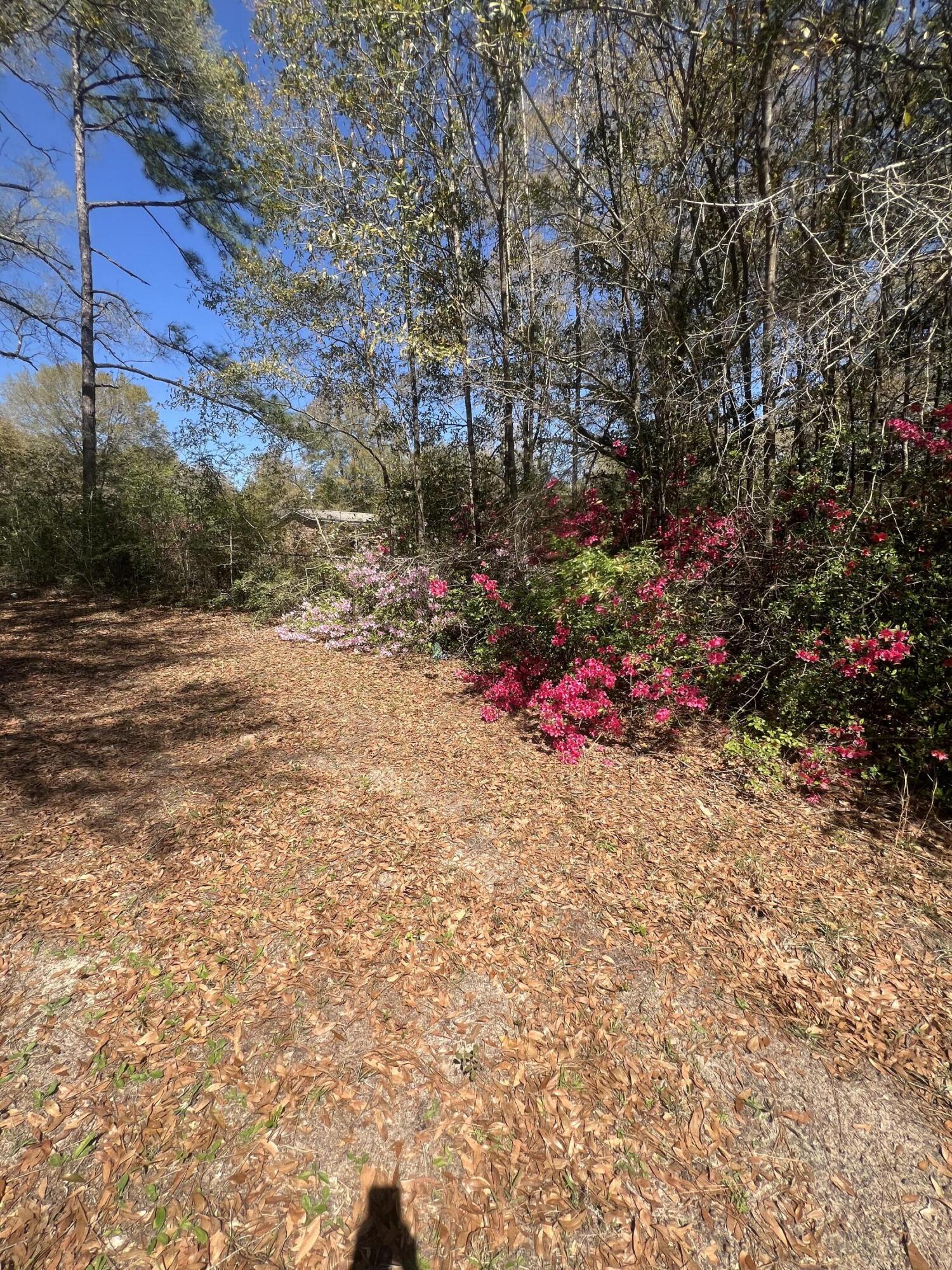 New SURVEY, 3.9 acres of land that you have plenty of room to create something truly special. The property's location off Hwy 90 with quick access to I-10 is an added bonus for convenience, and having utilities like water, electricity, and gas already accessible makes the building process a lot smoother. 
The existing house does not hold value, but the foundation could definitely serve as a strong base for a large barn or workshop, offering lots of flexibility in terms of what you can build. Come see this land today!