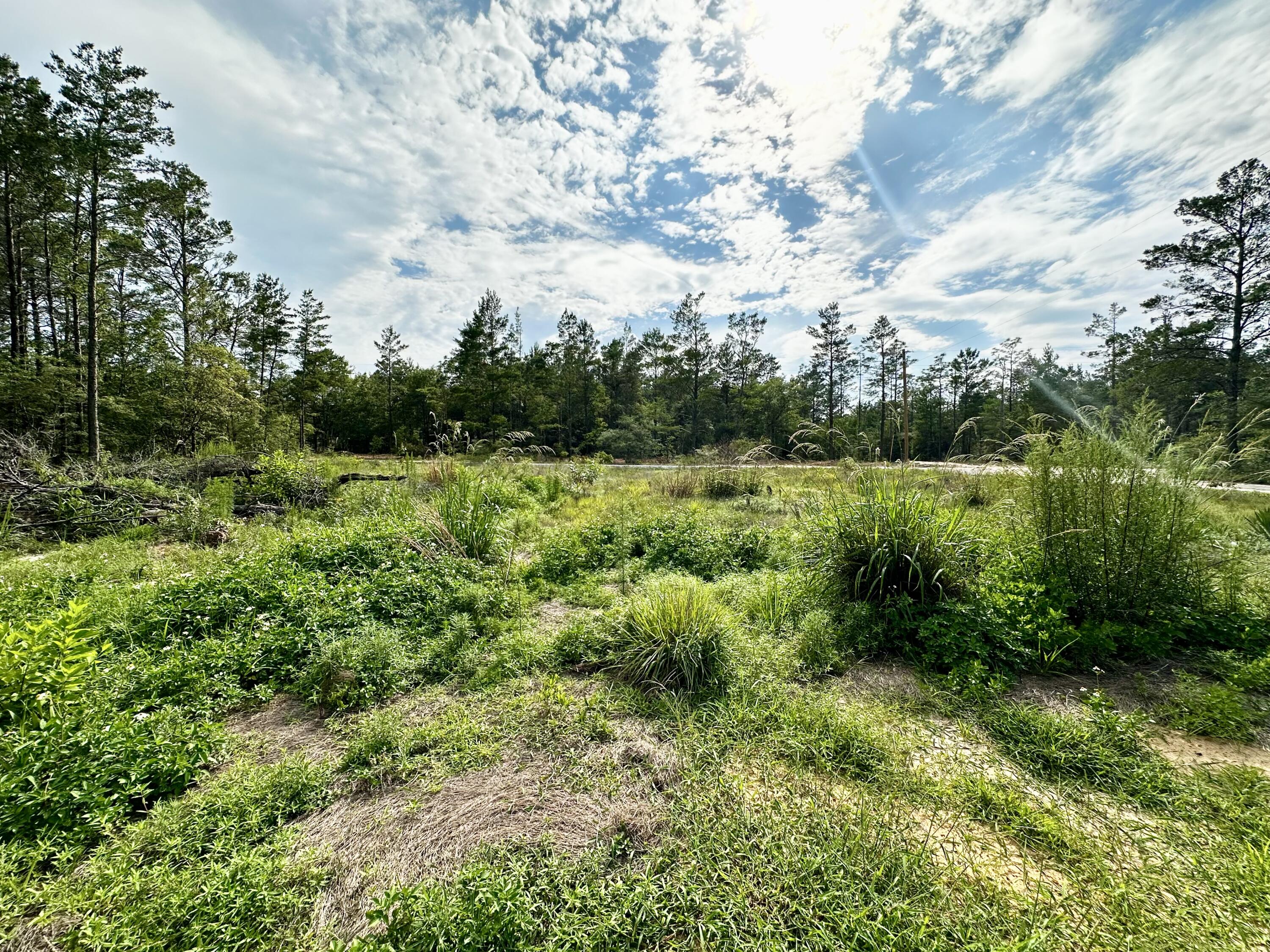 OAKWOOD HILLS UNIT 2 - Land