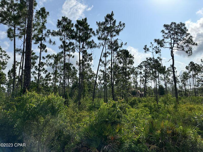 Laird Bayou - Land
