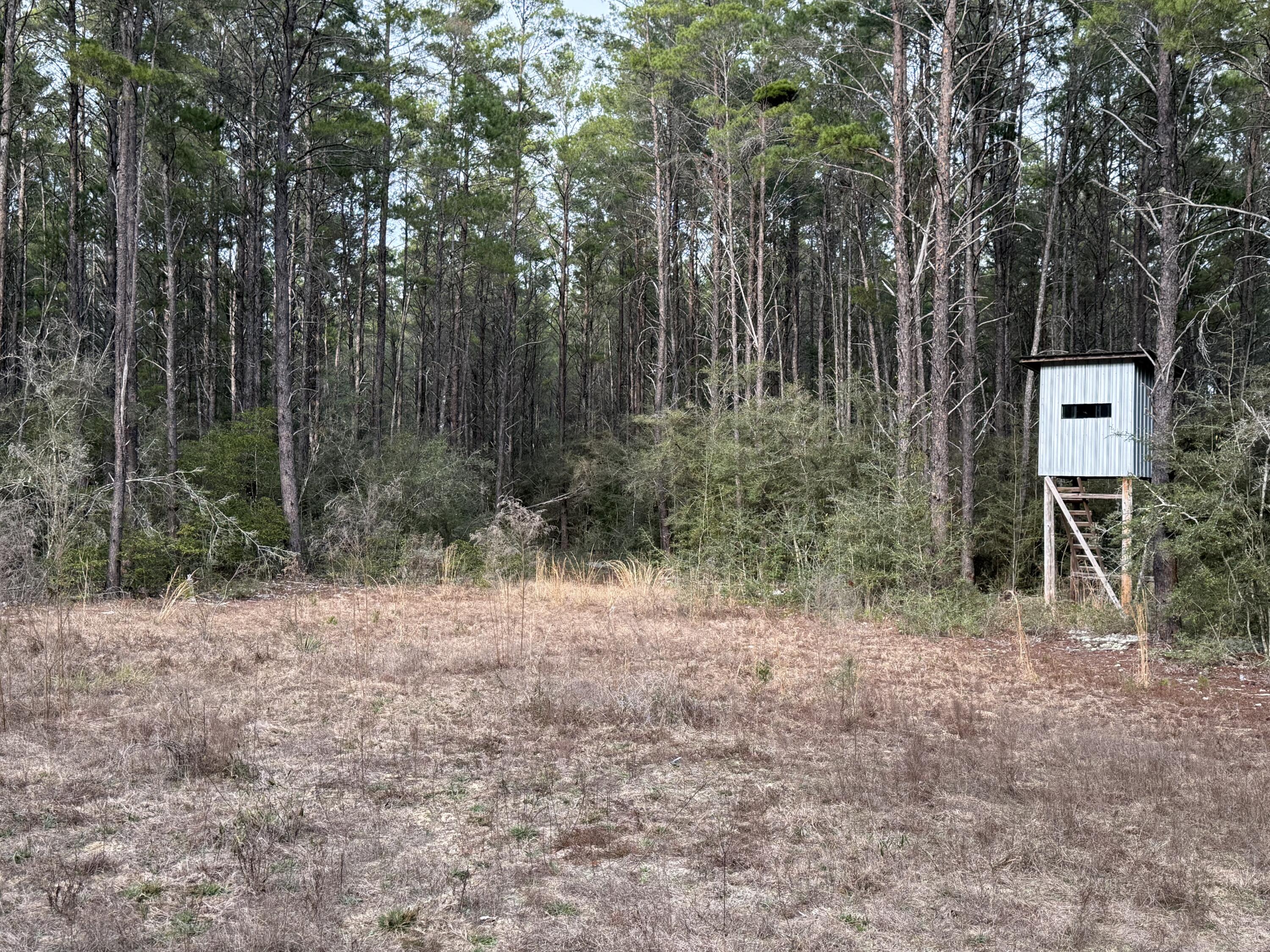 Discover a serene, 10-acre wooded sanctuary tucked just off Badger Road between Crestview and DeFuniak Springs  -an ideal slice of Northwest Florida land with exceptional rural character and development potential. There is about a 1/2 acre portion, already cleared towards the back that is being used for a food plat. This property has been used for hunting only. 
 This property offers proximity to amenities in Crestview and DeFuniak Springs. Whether you're looking to build your dream home, invest in land, or enjoy a peaceful getaway, these 10 acres are a rare and versatile find in an increasingly rare wooded setting. No HOA. Zoning Rural Residential.
