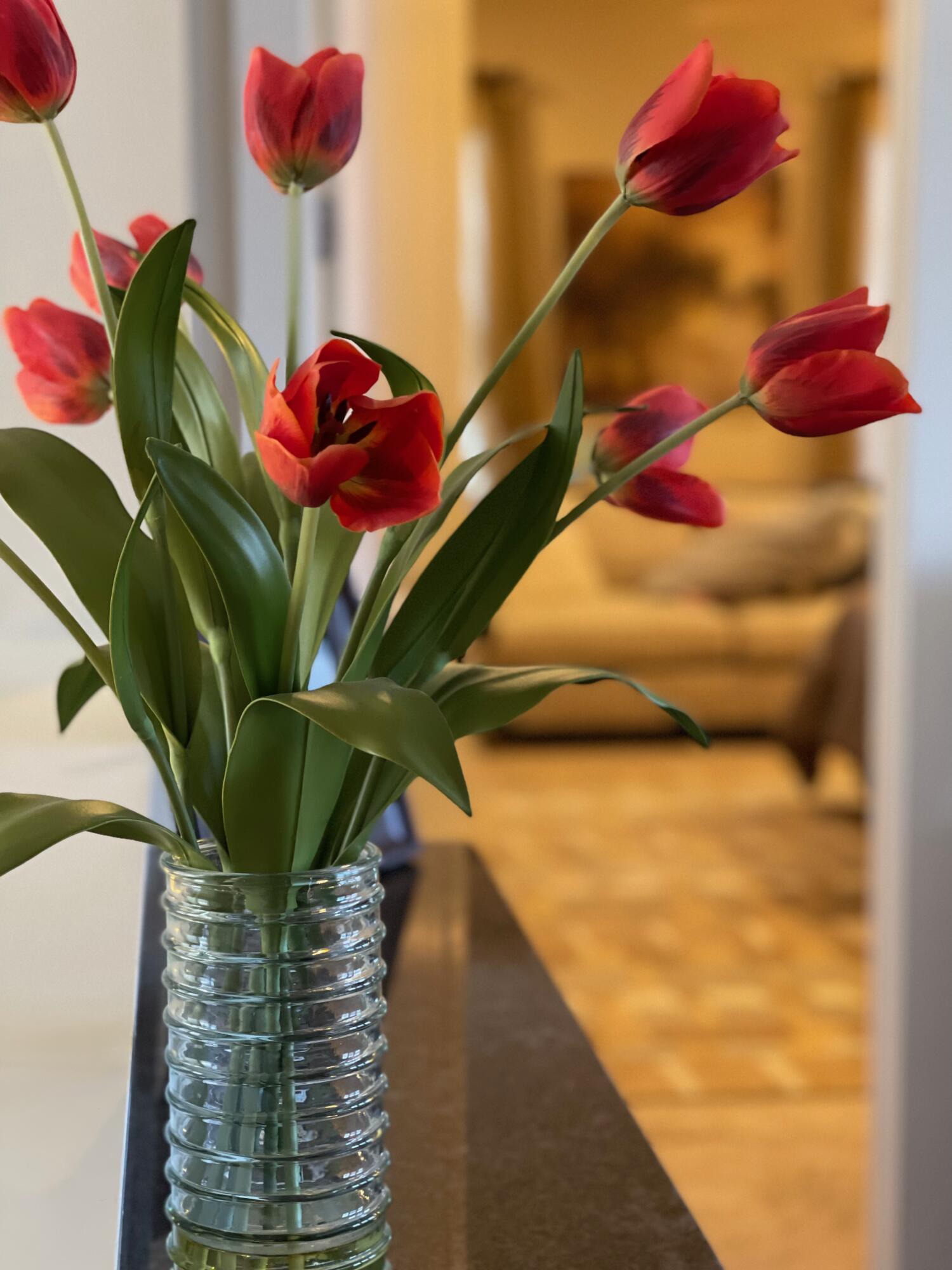 CARSON OAKS - Residential Lease