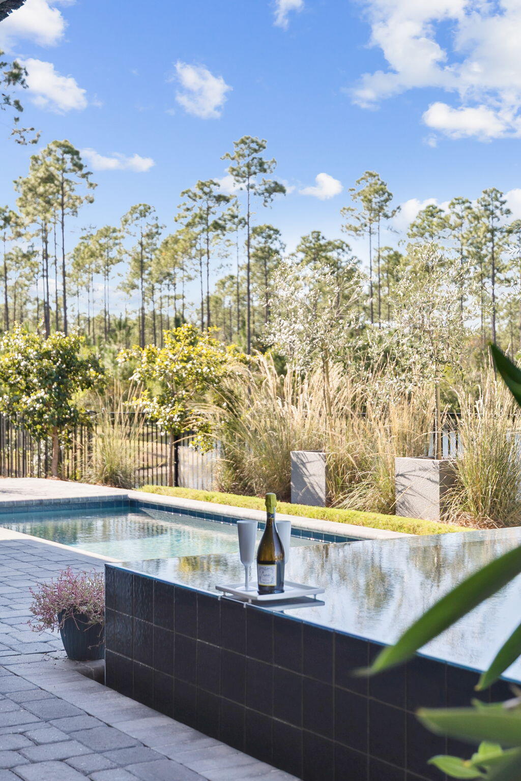 Naturewalk at Watersound Origins - Residential