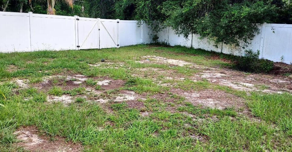 Silver Springs Shores subdivision - Residential