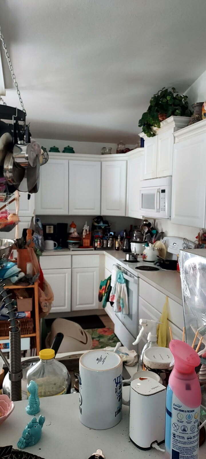 Silver Springs Shores subdivision - Residential