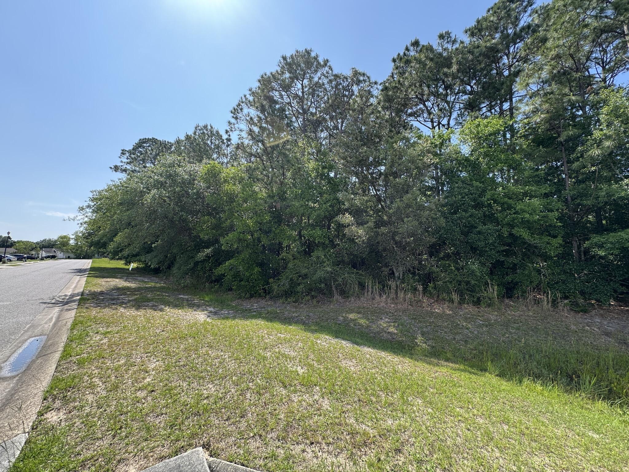 BAYOU GRANDE - Land
