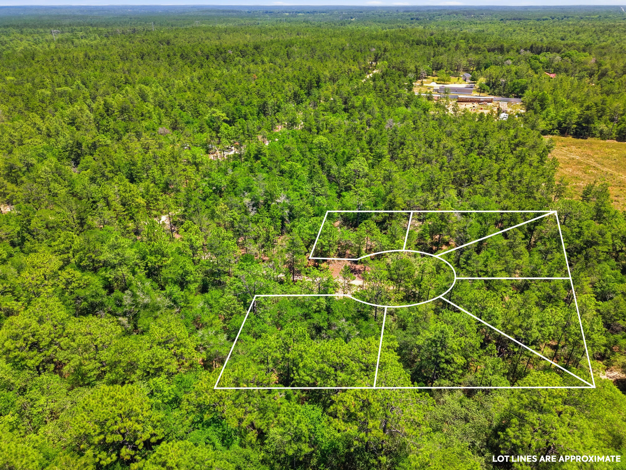 SIX (6) undeveloped lots totaling 1.53 acres that are platted and strategically located on a cul-de-sac in this fast developing community of Mossy Head.  Great for the Builder/Developer or for that savy investor that can envision development and future opportunities. Survey is available in the documents.  There is no HOA, and the location is serene and beautifully quiet.  Perfect blend of peaceful, natural surroundings with convenient access to the area's best amenities.  White sand beaches, excellent fishing, swimming and recreational opportunities galore await your enjoyment, and they are all within a short drive. Take advantage of this excellent opportunity and enjoy the many pleasures of the Emerald Paradise that is Walton County.  There is a survey map nailed to a tree at the location for easy understanding of the property,