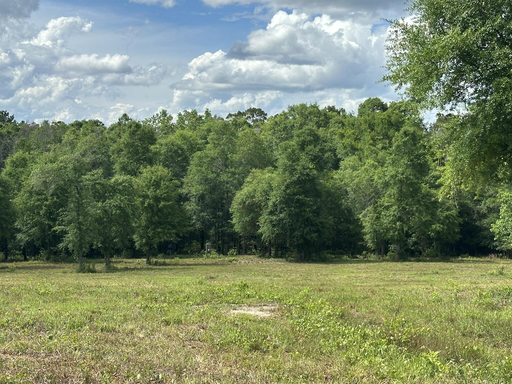 Escape to wide open spaces with this 52.38+/- acre property on New Ebenezer Road in Florala, Alabama. Offering a blend of opportunity and versatility, this acreage is ideal for a homesite, farm, hunting property, weekend getaway, or long-term investment. Bring your horses, livestock, or recreational vehicles and create the lifestyle you've been dreaming of.

Located near the Alabama/Florida line and just minutes from Lake Jackson, you'll enjoy easy access to boating, fishing, camping, and countless outdoor activities. The nearby historic town of Florala and convenient access to Highway 331 make travel to South Alabama and the Gulf Coast a breeze. Whether you're seeking peaceful country living or a place to enjoy the outdoors, this property offers the freedom to make it your own.