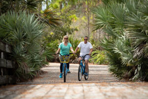 SOUTHWINDS III AT SANDESTIN - Residential