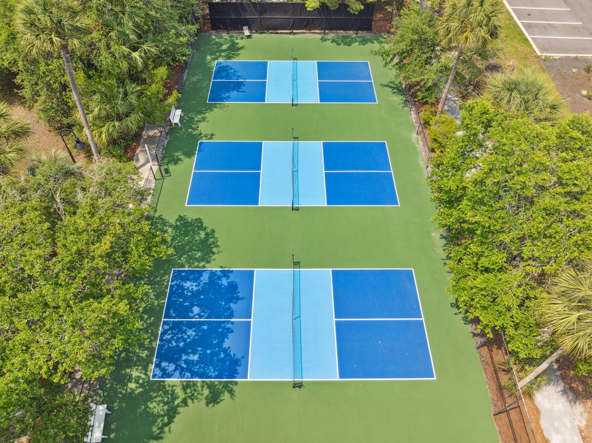 GULF PLACE CARIBBEAN CONDO - Residential