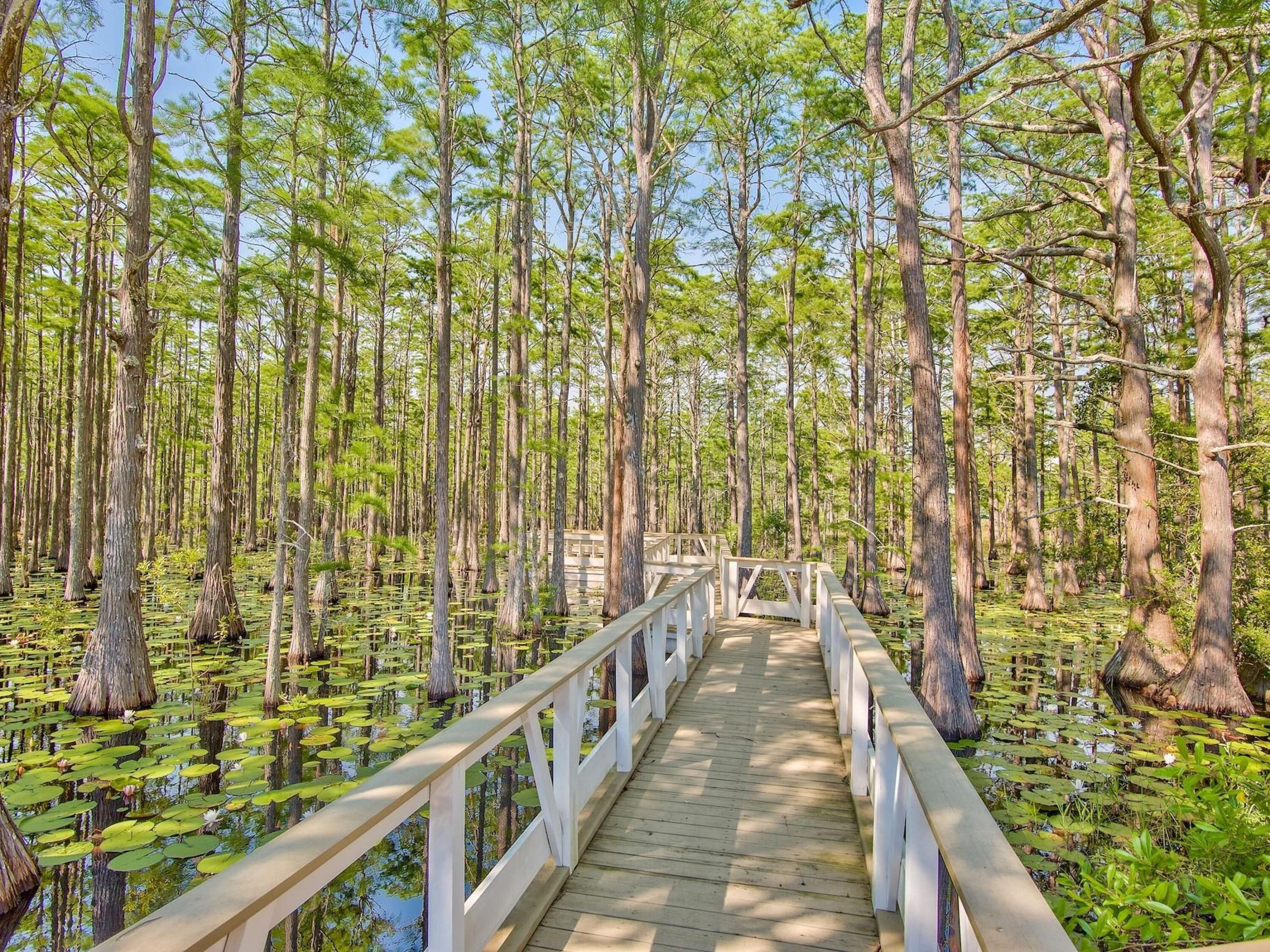 Cypress Dunes is a sanctuary of coastal elegance on the tranquil west end of Scenic Highway 30A in Santa Rosa Beach, Florida—where timeless architecture blends seamlessly with the untouched natural beauty of Topsail Hill Preserve State Park. This coveted gated community is defined by majestic cypress trees, serene walking paths, and breathtaking sunset views that create a peaceful retreat just minutes from sugar-white beaches, boutique shopping, and the vibrant dining that make 30A so beloved. Residents enjoy the rare opportunity to build a custom home that reflects their personal style while still honoring the community's refined coastal aesthetic, supported by thoughtful architectural guidelines and a selection of respected local builders. Cypress Dunes offers a premium location and exceptional craftsmanship, and lasting serenity in a setting protected from future overdevelopment. Its amenities are truly resort-caliberfeaturing two stunning pools including an infinity-edge pool overlooking the Gulf of America and rare Coastal Dune Lake, a jetted spa, a state-of-the-art fitness center, owners' clubhouse, outdoor fireplace, tennis & pickleball courts, a recreational lawn, and beautifully maintained boardwalks where local wildlife can often be spotted. Short term rentals are allowed with a six night minimum. A rustic elevated pathway connects Phase I to Phase II, leading to an additional resort-style pool with a cascading waterfall while offering sweeping views of the surrounding cypress landscape. Living in Cypress Dunes means embracing beauty, balance, and the easy rhythm of coastal living in one of Santa Rosa Beach's most desirable communities.

There are six floor plans that fit this lot that are listed under the document tab, along with the survey.