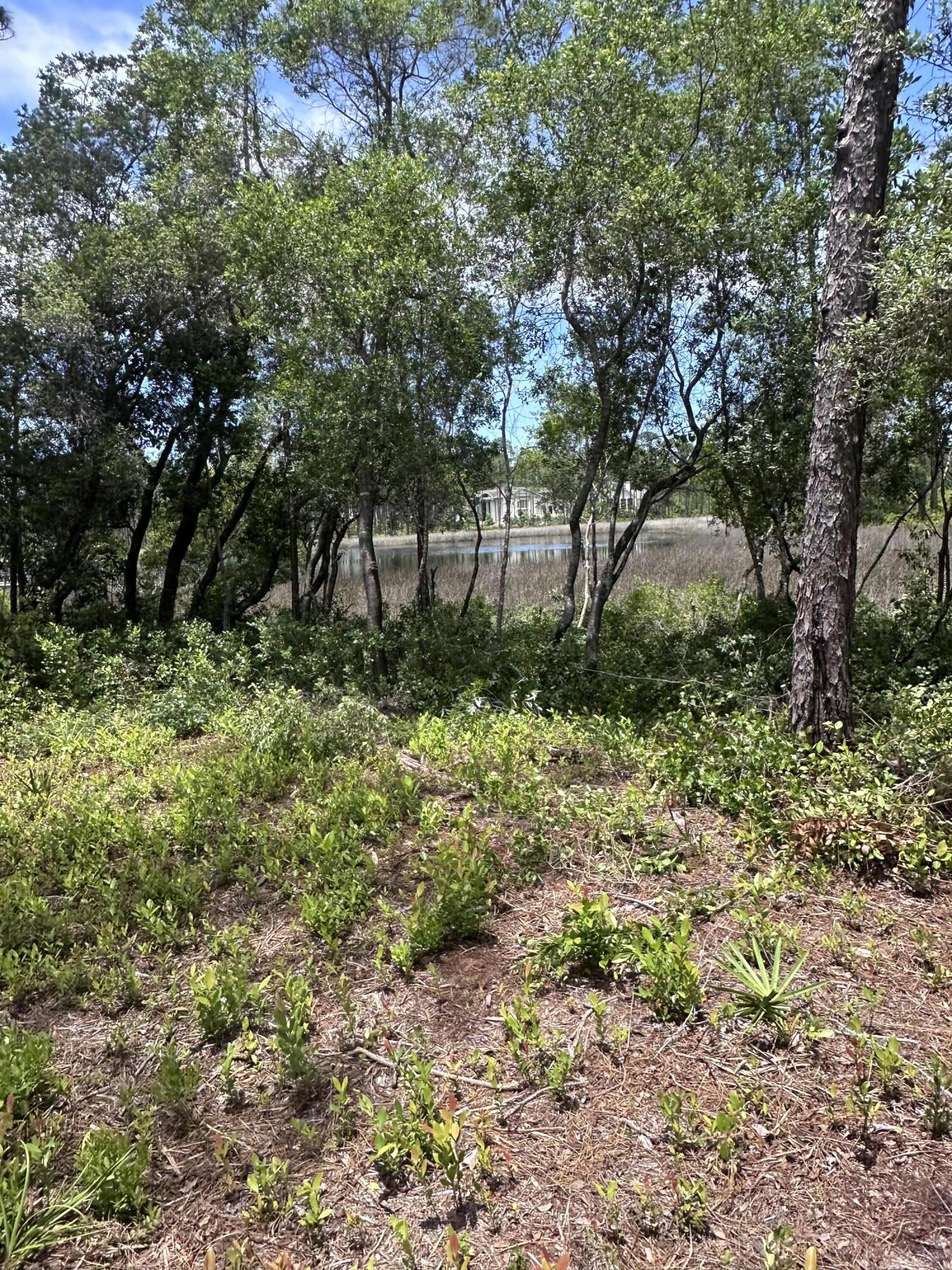 WILD HERON PHASE I - Land