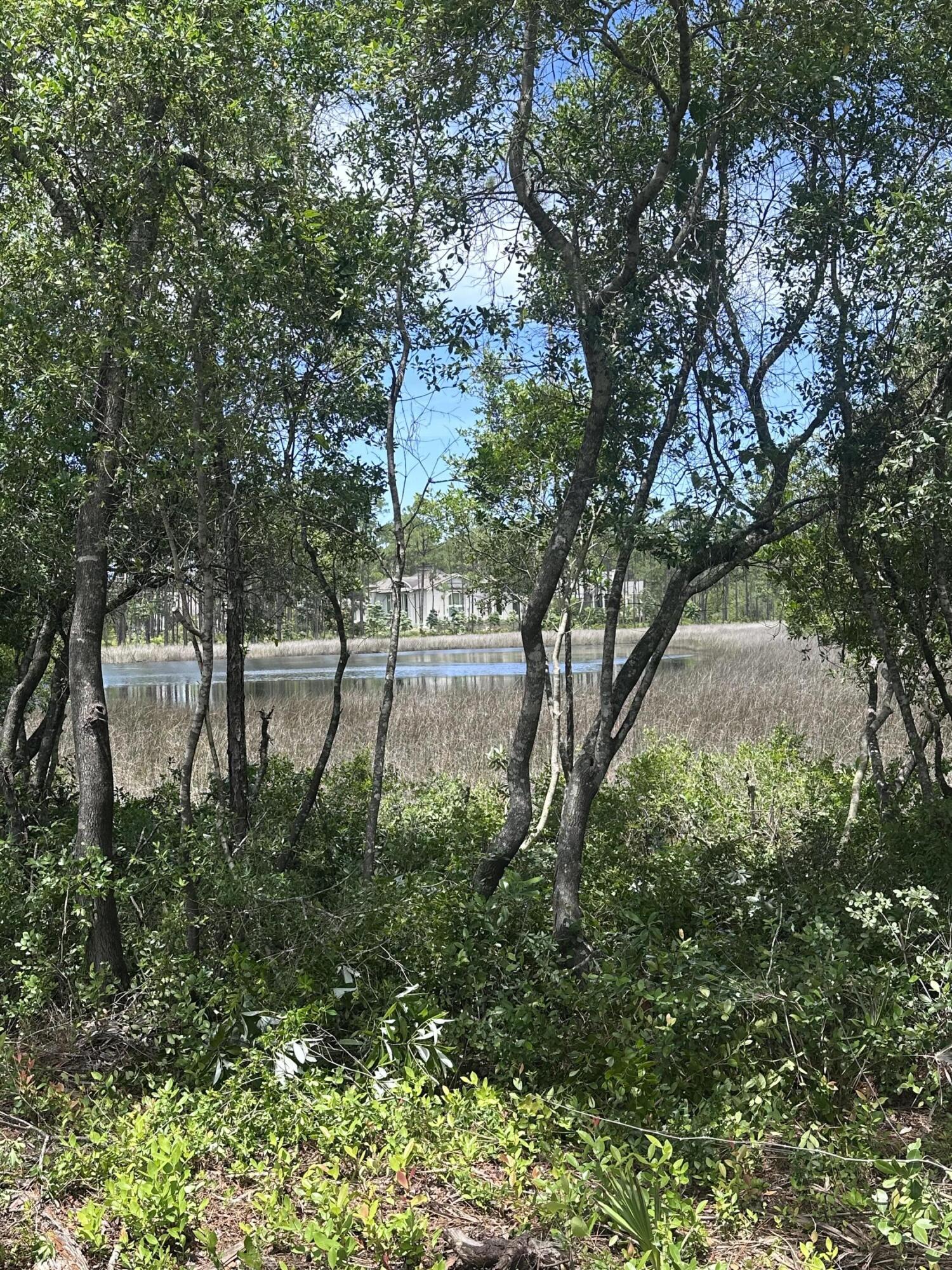 WILD HERON PHASE I - Land