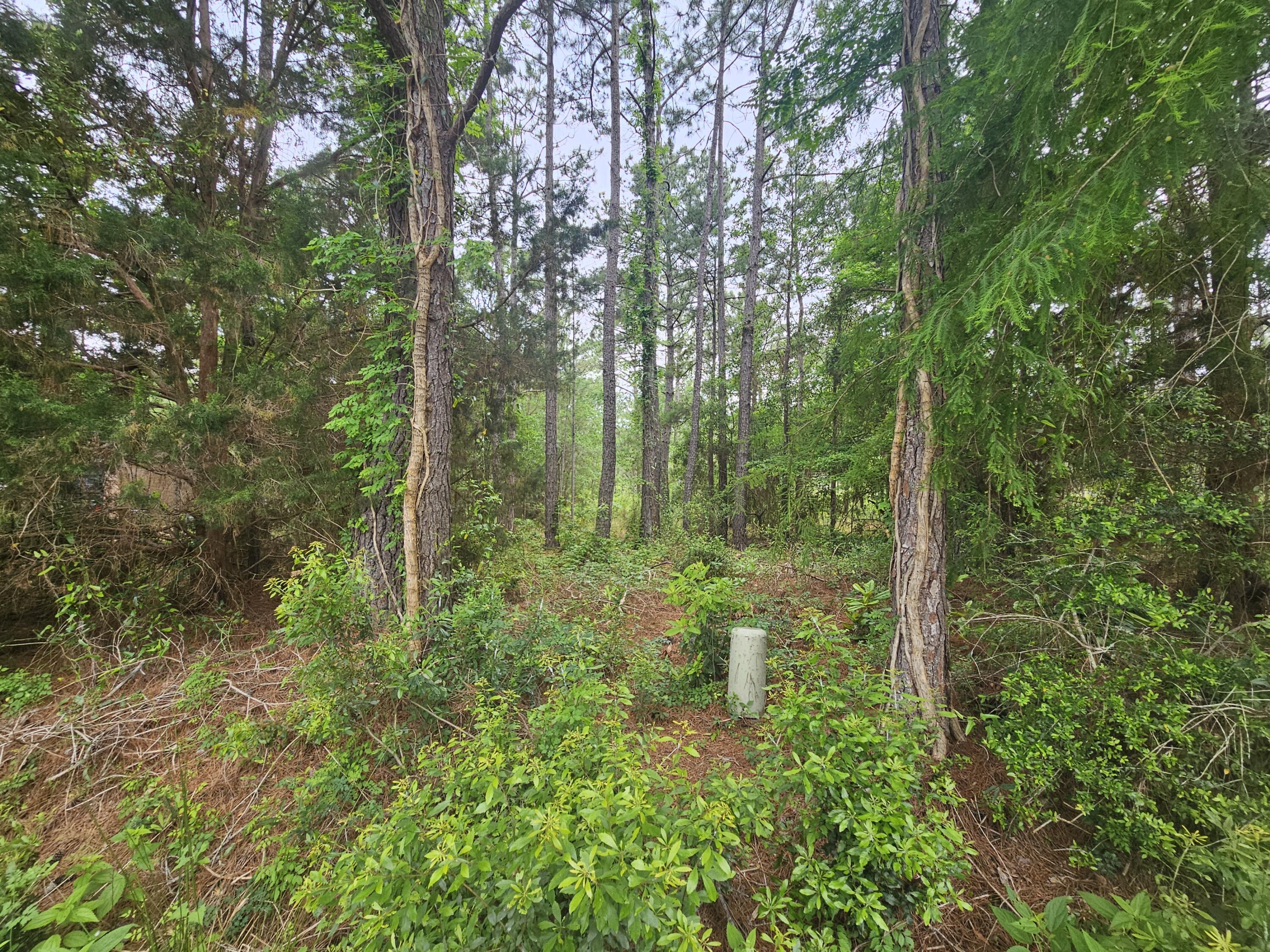 Dolphin Cove Estates - Land