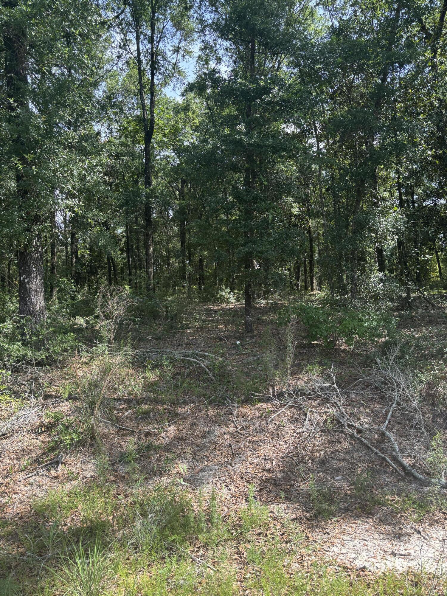 Seacoast Estates - Land