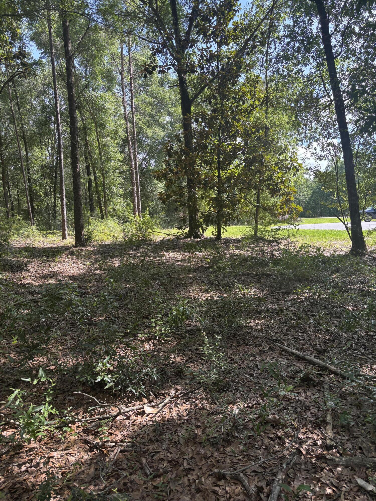 Seacoast Estates - Land