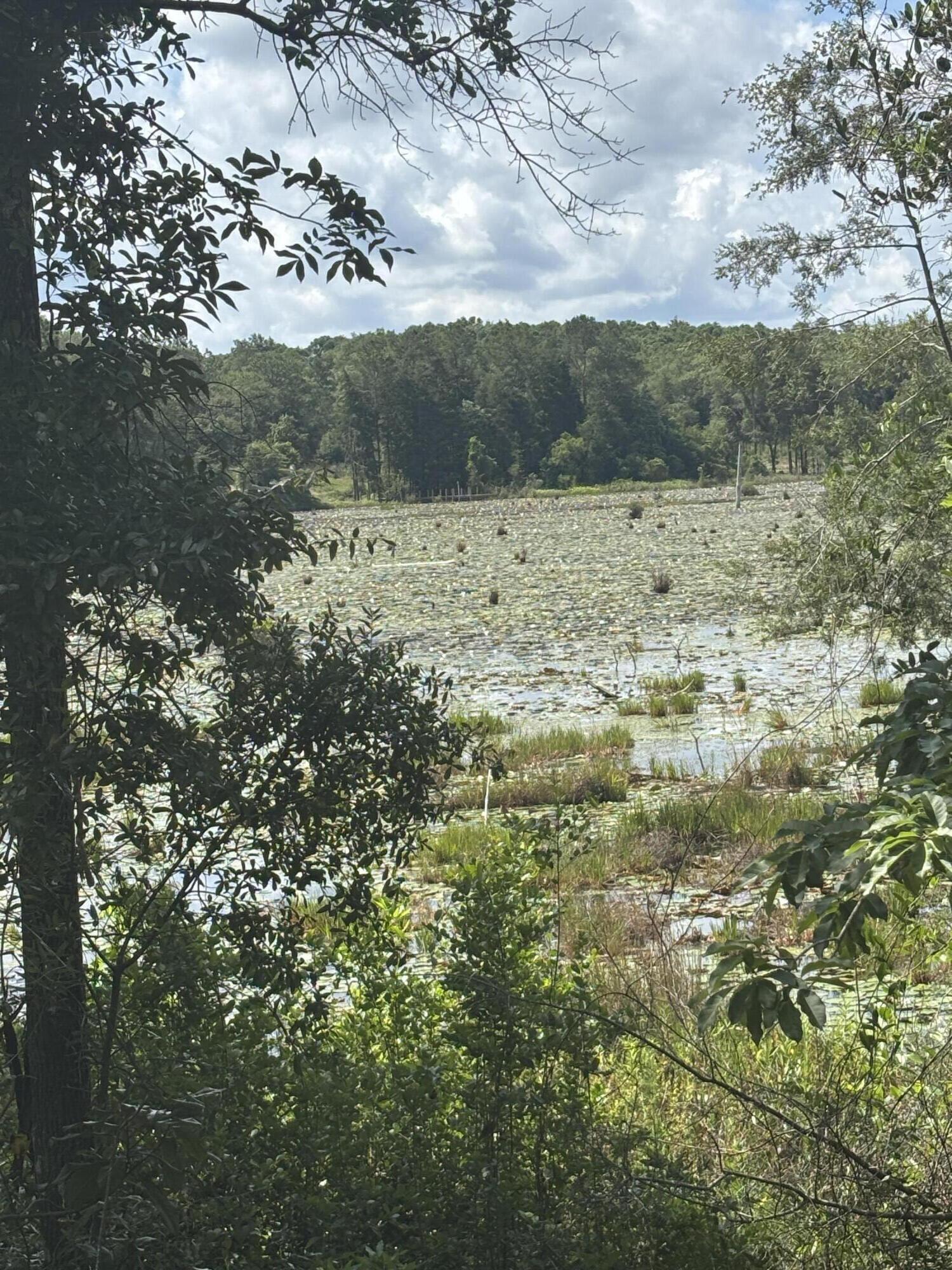 WATERFRONT PARADISE! On .75 acres. This stunning lot 43 is Located on a cul-de-sac water front on the spring fed lower Lake Holly. Beautiful views of Lake Holy and direct views of lower Lake Holly, High and dry in Flood zone X. Seacoast Estates is a newly exclusive residential community on a 43+ acre spring fed Lake,  in Defuniak Springs.
This development allows Barndominiums, tiny homes, or build your dream home. With STR allowed for the main dwellings, the possibilities are endless. 
Conveniently located to major highway access I10 and les than 5 miles from down town Defuniak Springs. Build your own private dock.
Priced to sell! Don't miss this exceptional opportunity. Get your slice of paradise while it's still available.
Survey available Professional pictures coming soon.
