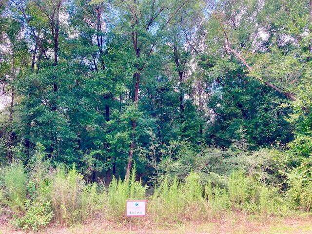 Seacoast Estates - Land