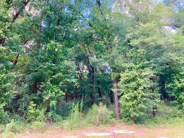Seacoast Estates - Land