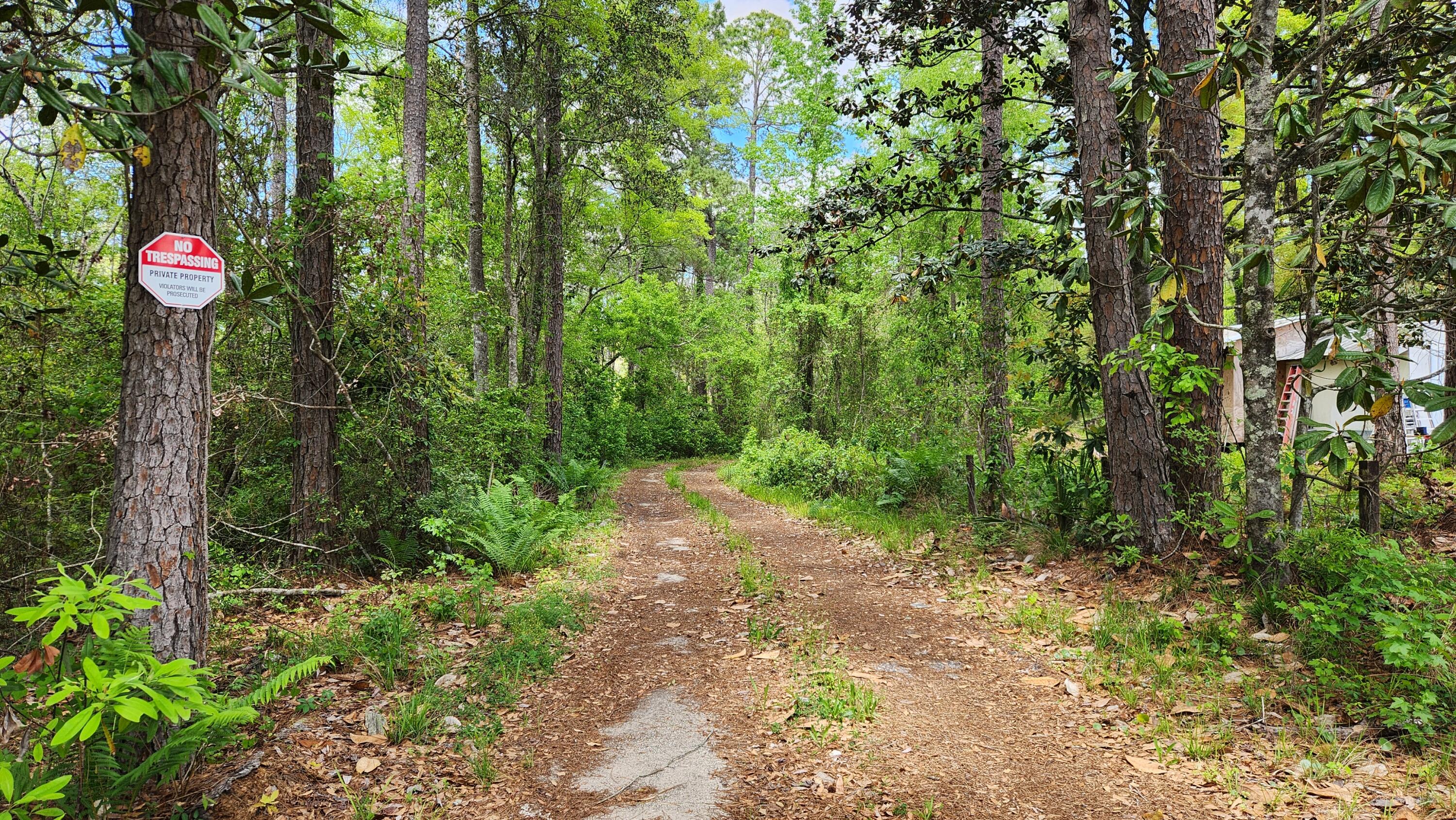 Prime road frontage along Florida State Highway 20 in the rapidly growing city of Freeport that also offers waterfront access to Alaqua Creek. Purchase & hold this acreage as an investment, build your dream home secluded amongst heavily wooded acreage or develop for a variety of potential uses with appropriate approvals. All information is believed to be accurate but not guaranteed. Buyer is responsible for verifying all features/aspects, as well as current or potential use of this property.
