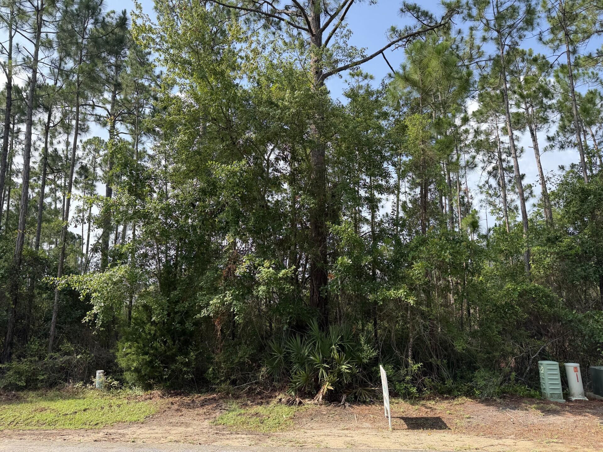 Harstvedt Plantation - Land