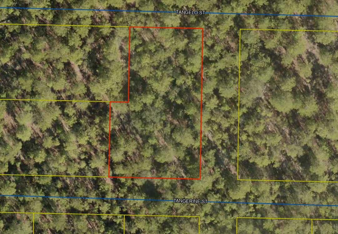 Wooded Lot 99X100X25X100X120X200 in up and coming area in North Walton County~ Rural  Residential ~ 1340 feet down Tangerine Street to the corner lot will be down on the right side of the Tangerine Street~