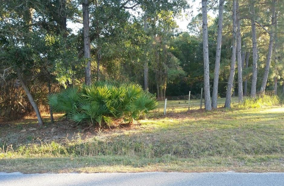 75x297 portion of 9065 Quail Roost Dr. Lot is located on paved street with quick access to Hwy 98, Walmart & Hurlburt Field. Lot is partially cleared. Lot dimension thought to be correct but should be verified by buyer.