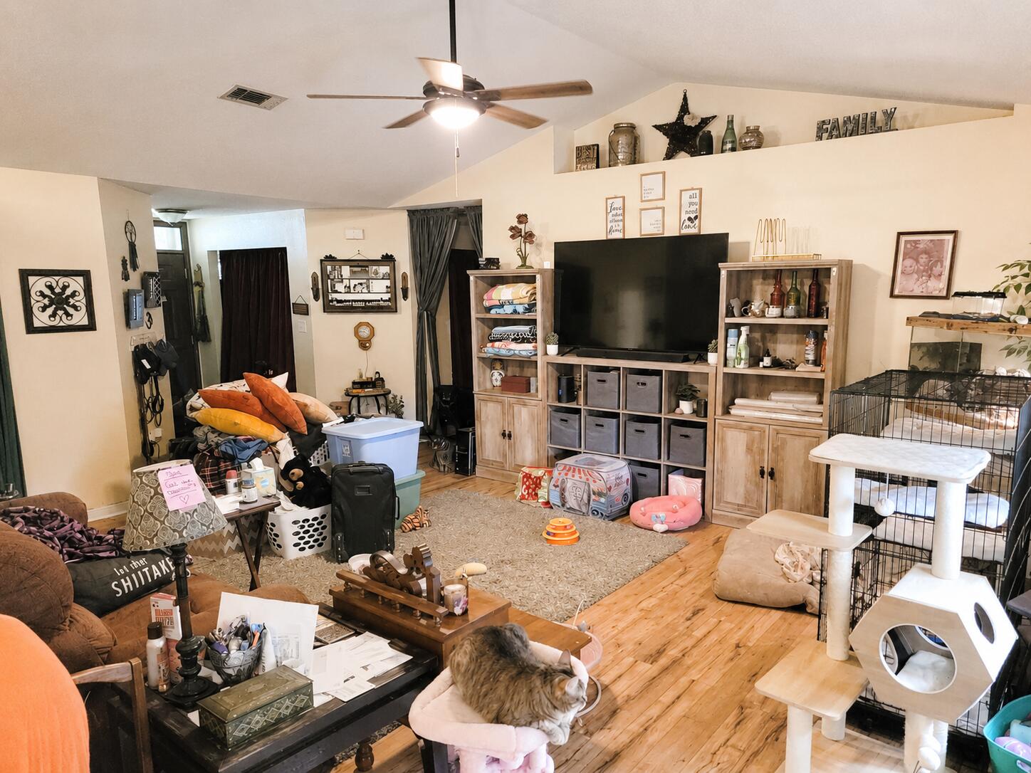 HOLLEY BY THE SEA - Residential