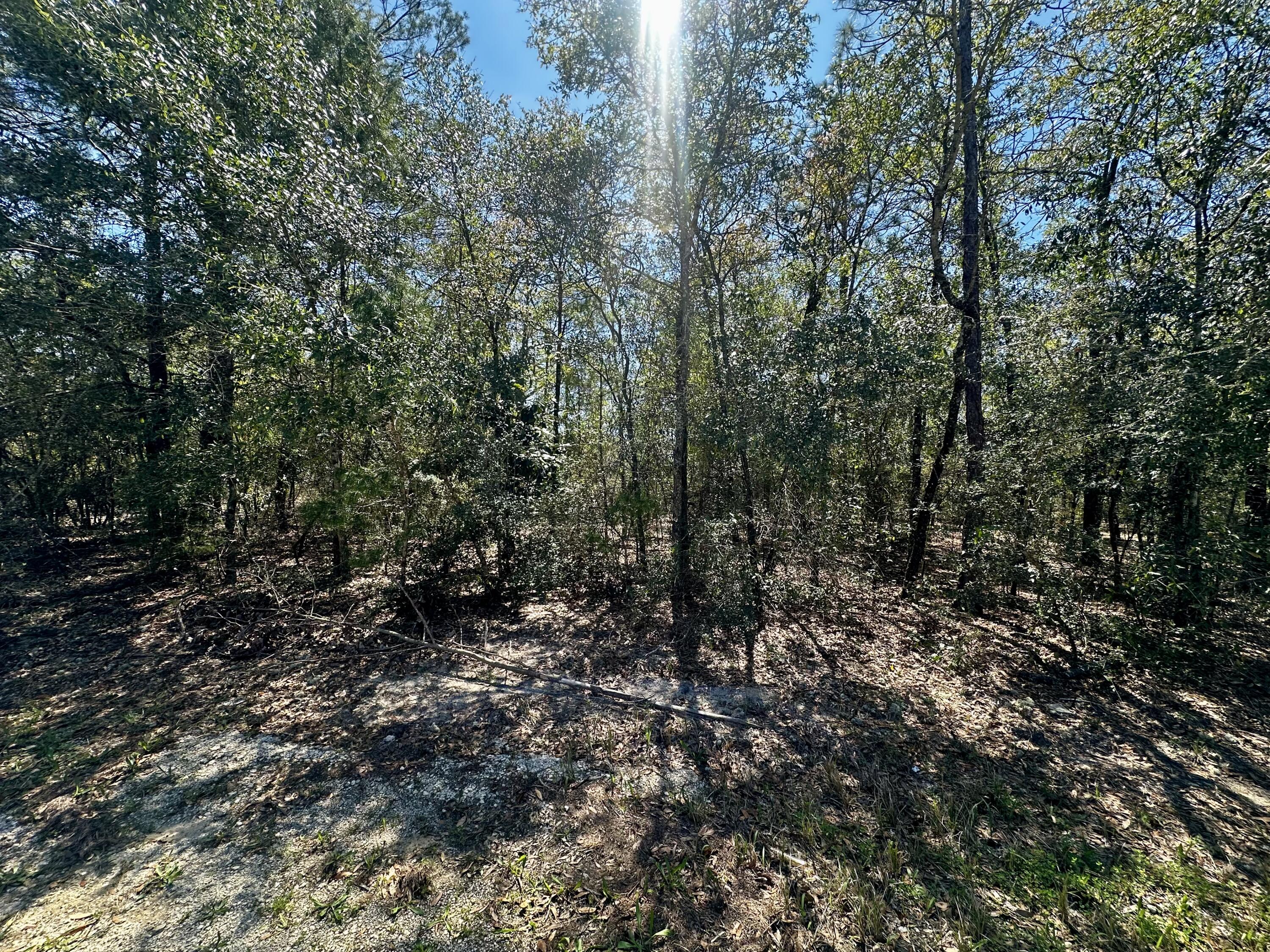 OAKWOOD HILLS UNIT 1 - Land