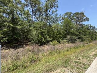 Great opportunity to own a vacant residential lot in the growing Navarre area with convenient access to Hwy 87, Navarre Beach, Milton, and I-10. This .25 acre parcel offers excellent potential for a future homesite, investment opportunity, or long-term hold in a rapidly developing corridor. Located just minutes from shopping, dining, schools and the white sandy beaches of the Gulf Coast!