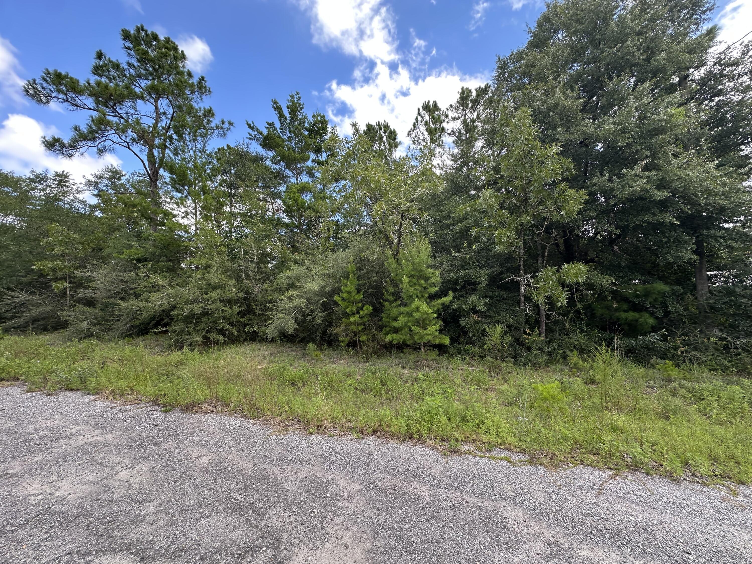 Vacant lot in the fast growing Mossy Head community. The lot has paved road frontage and is conveniently located just 15 minutes from downtown DeFuniak Springs, 30 minutes from Eglin AFB and less than 1 hour from the beautiful, sandy white beaches of South Walton.
Electric is available at road, Mossy Head water is available, septic tank required.