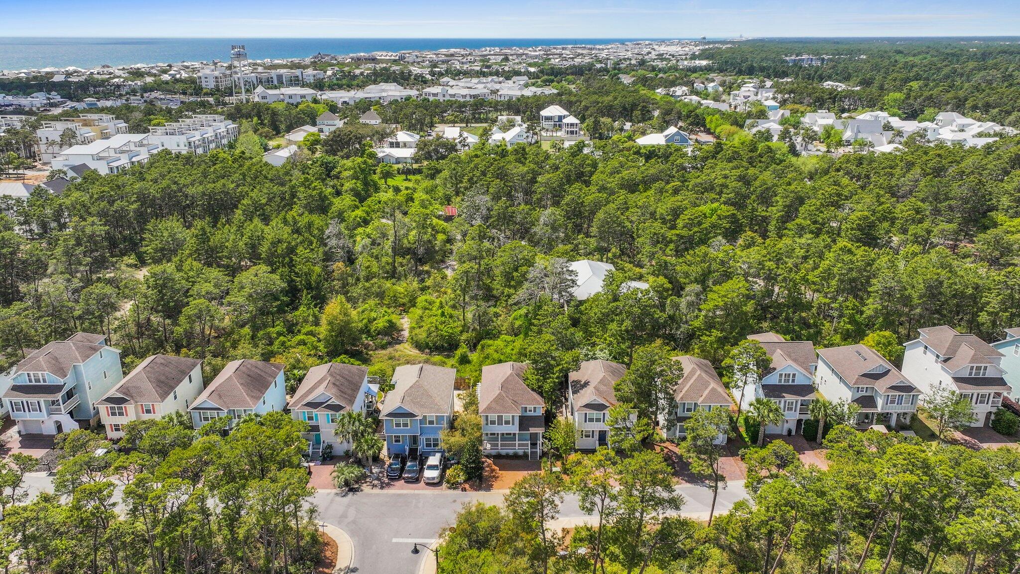 Pinewood Preserve - Residential