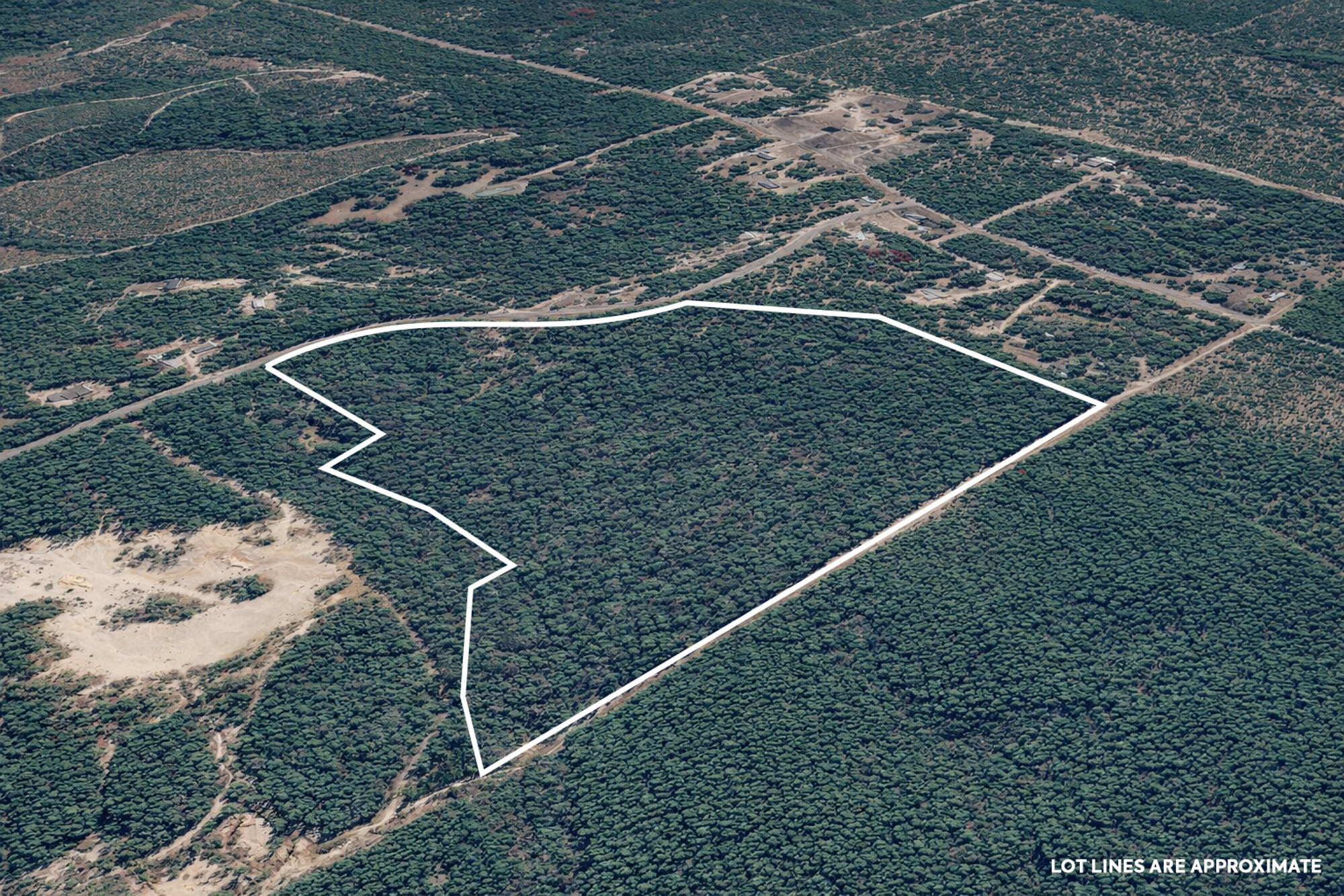 Set across 40 acres of natural landscape, 287 High Lonesome Road presents a rare opportunity to shape a vision in the quiet surroundings of DeFuniak Springs--where scale, privacy, and possibility come together with intention.

The property is heavily wooded, offering a rich canopy of mature trees and a sense of seclusion that invites thoughtful design and long-term planning. Whether imagined as a private estate, recreational retreat, or future development, the land provides a versatile canvas where architecture and environment can exist in harmony. Positioned less than 30 miles from the Gulf, the location offers a balance between peaceful inland living and access to the region's renowned coastline. Days can move between the quiet of wooded acreage and the energy of the Emerald Coast, creating a lifestyle defined by both space and connection.

Defined by its scale, natural beauty, and potential, 287 High Lonesome Road offers an opportunity to create something lasting--an environment shaped with intention, where possibilities are as expansive as the land itself.
