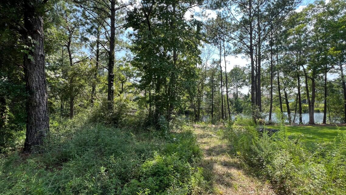 LAGRANGE LANDING PHASE III - Land